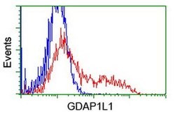 GDAP1L1 Mouse anti-Human, Clone: OTI1G5, TrueMAB , Origene 30 &mu;L | Buy Online | Origene Technologies | Fisher Scientific