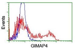 GIMAP4 Mouse anti-Human, Clone: OTI1C6, liquid, TrueMAB 100 &mu;L; Unconjugated:Antibodies,