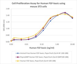 Gibco PeproGMP Human FGF-basic (FGF-2/bFGF) Recombinant Protein, PeproTech