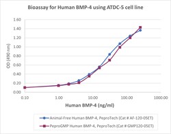Gibco PeproGMP Human BMP-4 Recombinant Protein, PeproTech