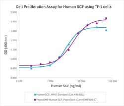 Gibco PeproGMP Human SCF Recombinant Protein, PeproTech 100 &mu;g | Buy Online | Gibco&trade; | Fisher Scientific