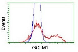GOLM1 Monoclonal Antibody (OTI5F4), TrueMAB , OriGene 30 &mu;L; Unconjugated:Antibodies,