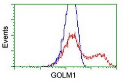 GOLM1 Monoclonal Antibody (OTI2D6), TrueMAB , OriGene 100 &mu;L | Buy Online | OriGene | Fisher Scientific