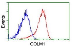 GOLM1 Mouse anti-Human, Clone: OTI2D6, lyophilized, TrueMAB 100 &mu;g;