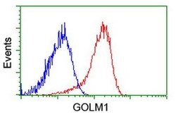 GOLM1 Monoclonal Antibody (OTI2D6), TrueMAB , OriGene 100 &mu;L | Buy Online | OriGene | Fisher Scientific