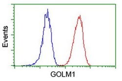 GOLM1 Monoclonal Antibody (OTI2D6), TrueMAB , OriGene 100 &mu;L | Buy Online | OriGene | Fisher Scientific