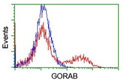 GORAB Monoclonal Antibody (OTI4A4), TrueMAB , OriGene 100 &mu;L; Unconjugated:Antibodies,