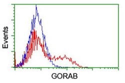 GORAB Monoclonal Antibody (OTI2E6), TrueMAB , OriGene 30 &mu;L; Unconjugated:Antibodies,