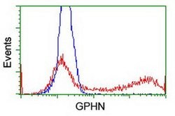 GPHN Monoclonal Antibody (OTI5B6), TrueMAB , OriGene 100 &mu;L | Buy Online | Origene Technologies | Fisher Scientific