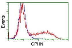 GPHN Monoclonal Antibody (OTI7C6), TrueMAB , OriGene 30 &mu;L; Unconjugated:Antibodies,
