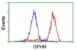 GPHN Monoclonal Antibody (OTI3A6), TrueMAB , OriGene 100 &mu;L; Unconjugated:Antibodies,