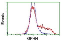 GPHN Monoclonal Antibody (OTI5C9), TrueMAB , OriGene:Antibodies:Primary