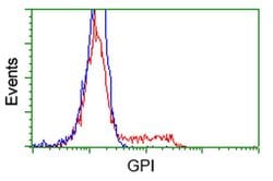 GPI Monoclonal Antibody (OTI8G7), TrueMAB , OriGene 100 &mu;L; Unconjugated:Antibodies,