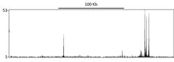 GR Rabbit anti-Human, Polyclonal, Bethyl Laboratories 100 &mu;L; Unconjugated:Antibodies,