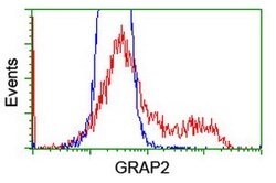 GRAP2 Mouse anti-Human, Clone: OTI1G2, lyophilized, TrueMAB 100 &mu;g;