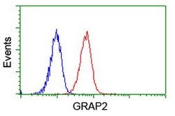 GRAP2 Mouse anti-Human, Clone: OTI1G2, lyophilized, TrueMAB 100 &mu;g;