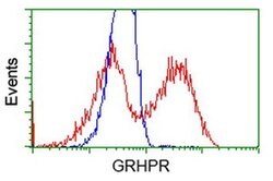 GRHPR Monoclonal Antibody (OTI4B6), TrueMAB , OriGene 100 &mu;L; Unconjugated:Antibodies,
