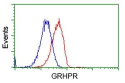 GRHPR Monoclonal Antibody (OTI4B6), TrueMAB , OriGene 100 &mu;L; Unconjugated:Antibodies,
