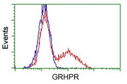 GRHPR Mouse anti-Human, Clone: OTI9G2, lyophilized, TrueMAB 100 &mu;g;