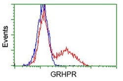 GRHPR Monoclonal Antibody (OTI9G2), TrueMAB , OriGene 100 &mu;L; Unconjugated:Antibodies,