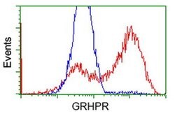 GRHPR Monoclonal Antibody (OTI9E6), TrueMAB , OriGene 30 &mu;L; Unconjugated:Antibodies,