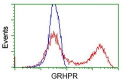 GRHPR Mouse anti-Human, Clone: OTI10A3, lyophilized, TrueMAB 100 &mu;g;