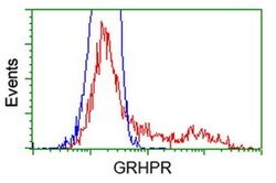 GRHPR Monoclonal Antibody (OTI2H4), TrueMAB , OriGene 100 &mu;L; Unconjugated:Antibodies,