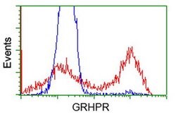 GRHPR Mouse anti-Human, Clone: OTI1H8, lyophilized, TrueMAB 100 &mu;g;