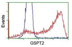 GSPT2 Mouse anti-Human, Clone: OTI2G9, liquid, TrueMAB 100 &mu;L; Unconjugated:Antibodies,