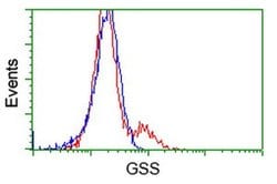 GSS Monoclonal Antibody (OTI2F2), TrueMAB , OriGene 30 &mu;L; Unconjugated:Antibodies,