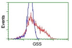GSS Monoclonal Antibody (OTI1B8), TrueMAB , OriGene 30 &mu;L; Unconjugated:Antibodies,
