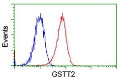 GSTT2 Mouse anti-Human, Clone: OTI6B7, lyophilized, TrueMAB 100 &mu;g;
