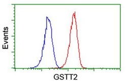 GSTT2 Monoclonal Antibody (OTI3B6), TrueMAB , OriGene 100 &mu;L; Unconjugated:Antibodies,