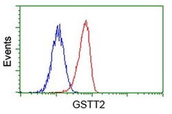 GSTT2 Monoclonal Antibody (OTI7A1), TrueMAB , OriGene 30 &mu;L; Unconjugated:Antibodies,