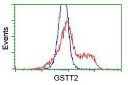 GSTT2 Monoclonal Antibody (OTI5A11), TrueMAB , OriGene 30 &mu;L; Unconjugated:Antibodies,
