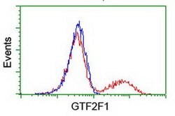 GTF2F1 Mouse anti-Human, Clone: OTI1C5, liquid, TrueMAB 100 &mu;L; Unconjugated:Antibodies,