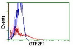 GTF2F1 Monoclonal Antibody (OTI4B10), TrueMAB , OriGene 100 &mu;L; Unconjugated:Antibodies,