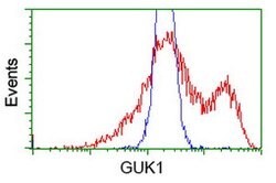 GUK1 Mouse anti-Human, Clone: OTI1D7, lyophilized, TrueMAB 100 &mu;g; Unconjugated:Antibodies,
