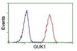GUK1 Mouse anti-Human, Clone: OTI1D7, lyophilized, TrueMAB 100 &mu;g; Unconjugated:Antibodies,