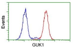 GUK1 Mouse anti-Human, Clone: OTI4A8, lyophilized, TrueMAB 100 &mu;g; Unconjugated:Antibodies,