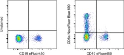 CD8a Monoclonal Antibody (OKT8 (OKT-8)), NovaFluor Blue 690, eBioscience