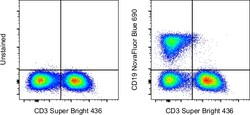 CD19 Monoclonal Antibody (HIB19), NovaFluor Blue 690, eBioscience , Invitrogen:Antibodies:Primary