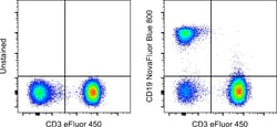 Invitrogen CD19 Monoclonal Antibody (HIB19), NovaFluor Blue 800, eBioscience:Antibodies:Primary