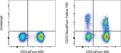 CD73 Monoclonal Antibody (AD2), NovaFluor Yellow 700, eBioscience , Invitrogen:Antibodies:Primary