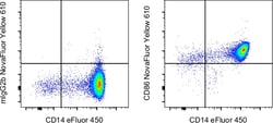 Invitrogen CD86 (B7-2) Monoclonal Antibody (IT2.2), NovaFluor Yellow 610,