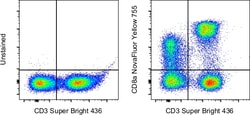 Invitrogen CD8a Monoclonal Antibody (SK1), NovaFluor Yellow 755, eBioscience , Invitrogen 100 &mu;g | Buy Online | Invitrogen&trade; | Fisher Scientific