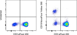 CD19 Monoclonal Antibody (SJ25C1), NovaFluor Yellow 590, eBioscience ,