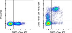 Invitrogen CD16 Monoclonal Antibody (eBioCB16 (CB16)), NovaFluor Yellow
