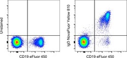 Invitrogen&trade;&nbsp;Human IgD Monoclonal Antibody (IA6-2), NovaFluor&trade; Yellow 810, eBioscience&trade;