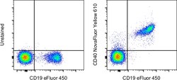 Invitrogen CD40 Monoclonal Antibody (5C3), NovaFluor Yellow 610, eBioscience:Antibodies:Primary